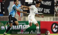 แทงบอล เว็บไทย
